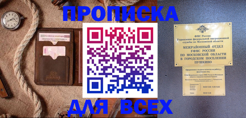 найти адрес прописки в Щёкино